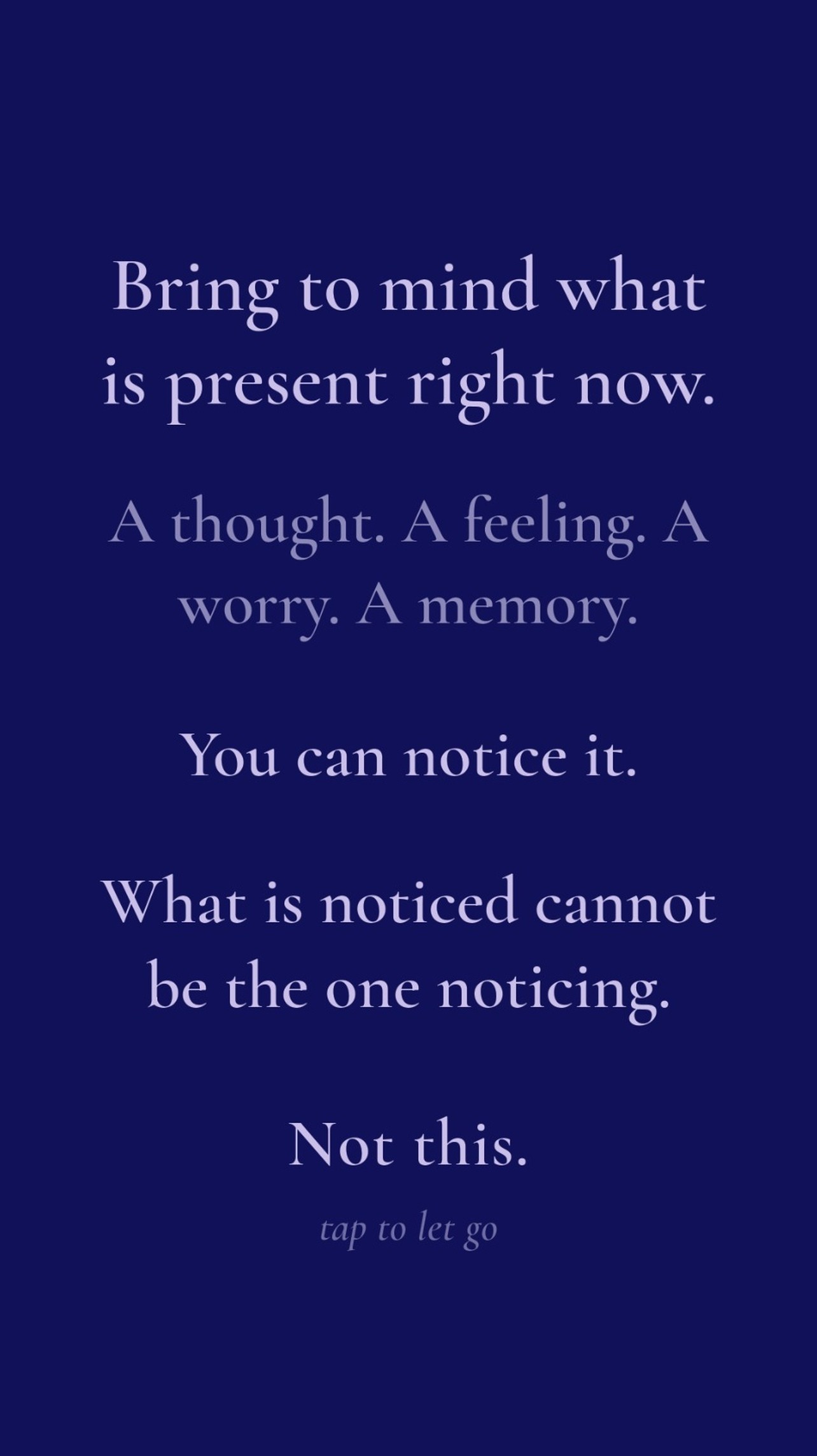 Neti Neti — self-inquiry screen inviting you to notice a thought without following it